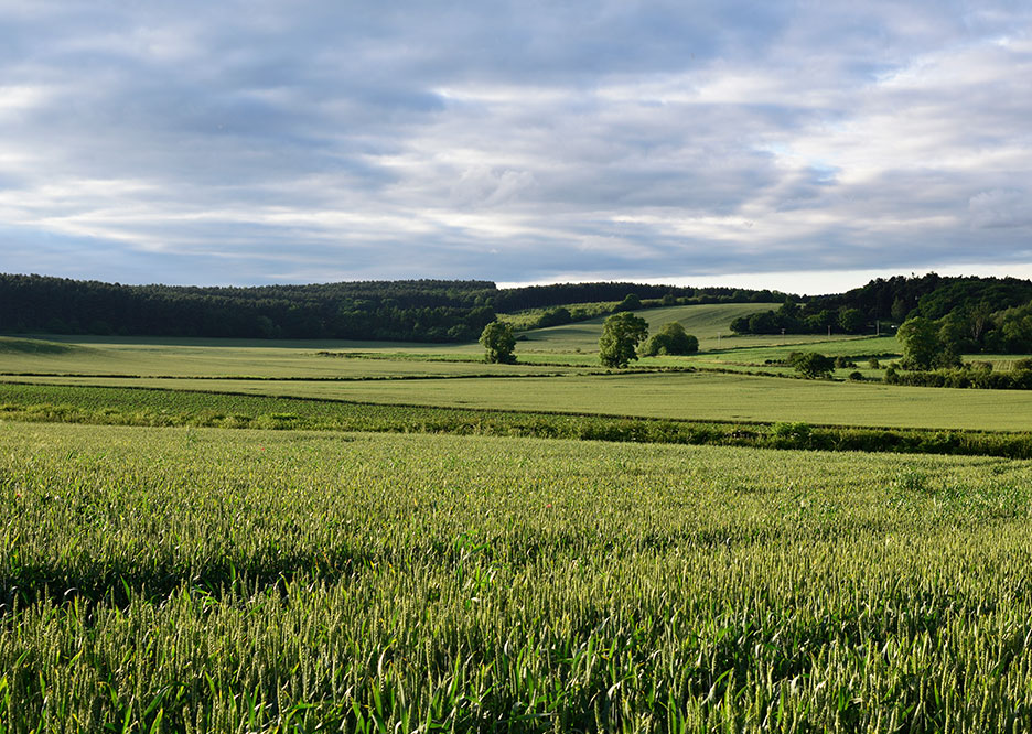 alderley-land-acquistion