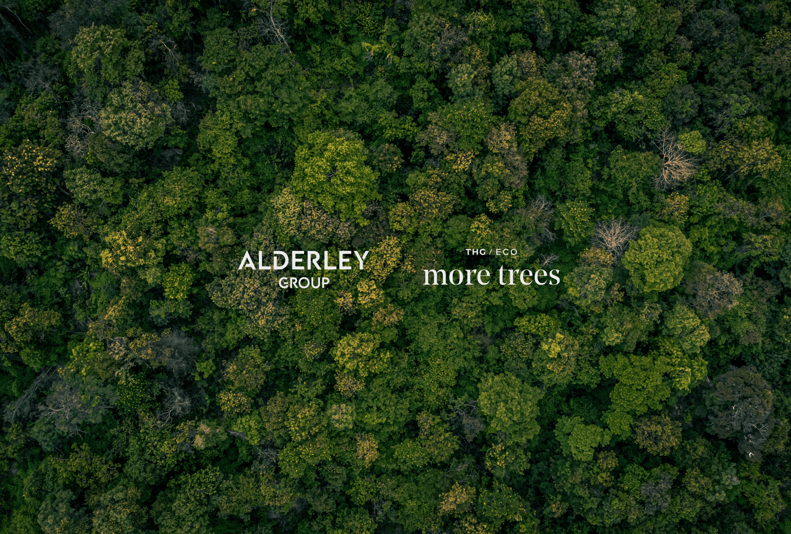 More Trees Alderley Group